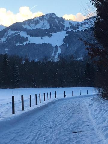 Alphirt Ferienwohnungen Fischen im Allgäu Exterior foto