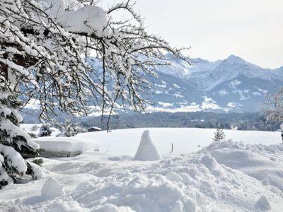 Alphirt Ferienwohnungen Fischen im Allgäu Exterior foto
